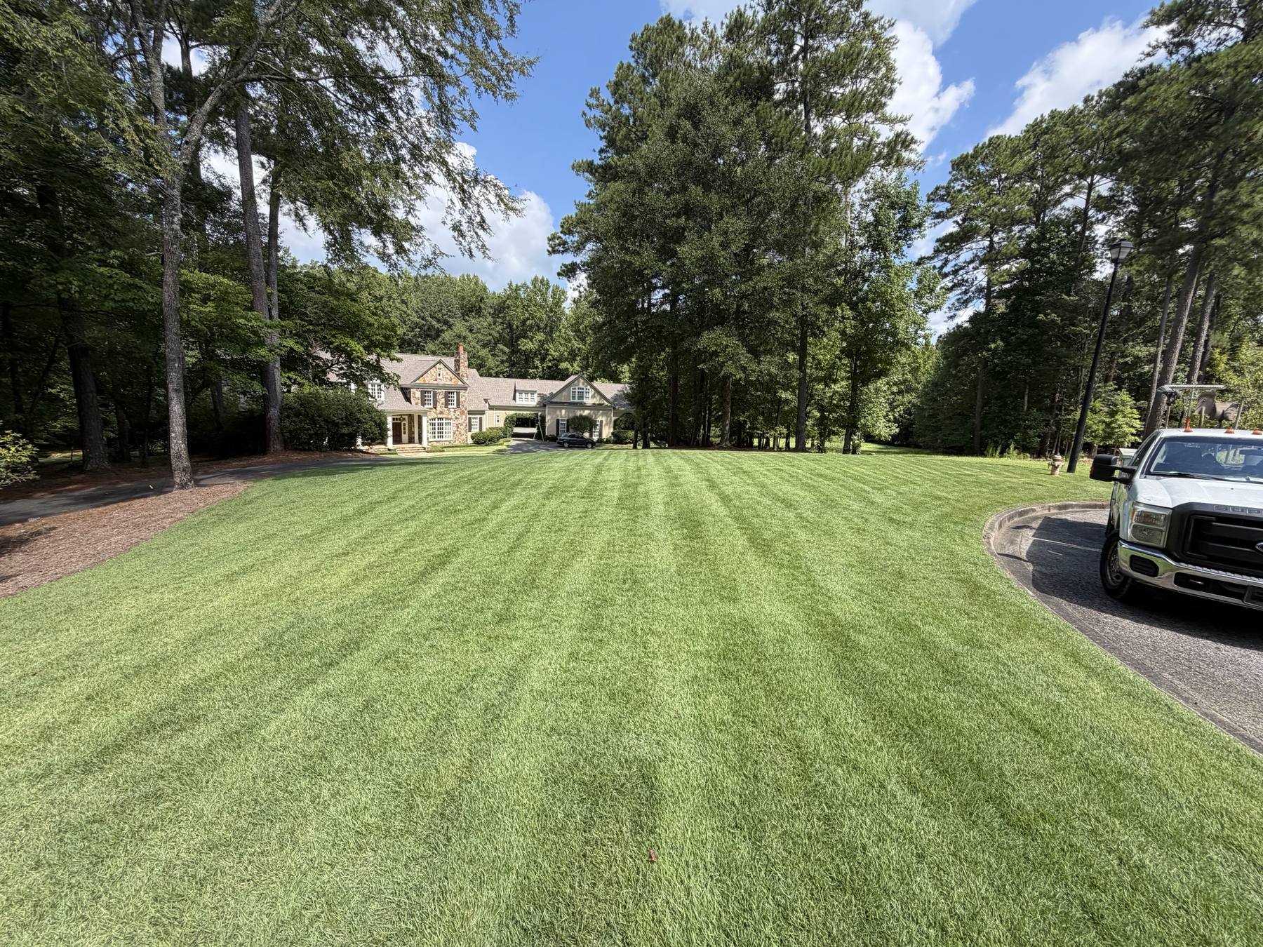 Striped front lawn on a wooded lot