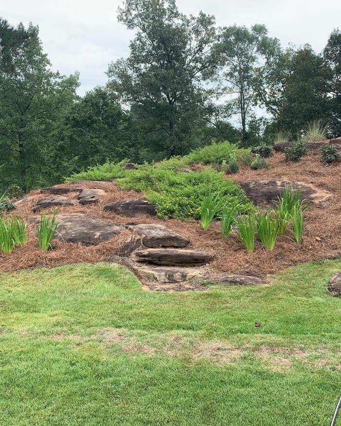 Boulder hillside planting