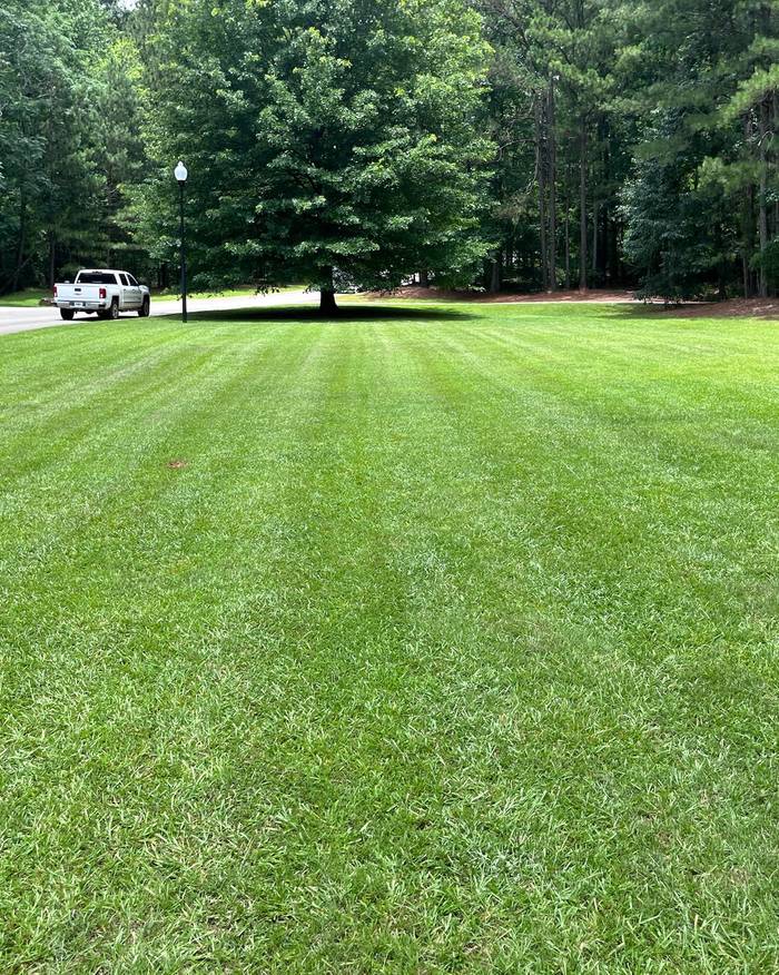 Striped lawn in a neighborhood common area