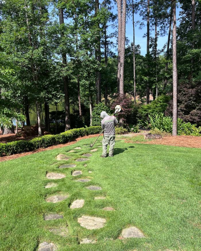Stepping-stone path across a lawn