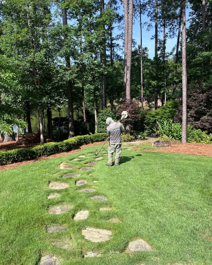Stepping stone path set in lawn