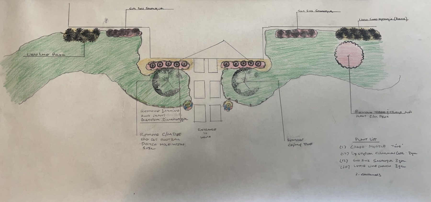 Hand-colored front yard plan with crape myrtles, distylium, Shi Shi sasanqua and Little Lime Punch hydrangea