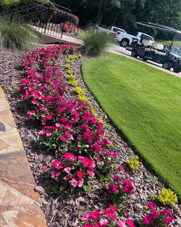 Seasonal color bed beside a fresh-cut lawn