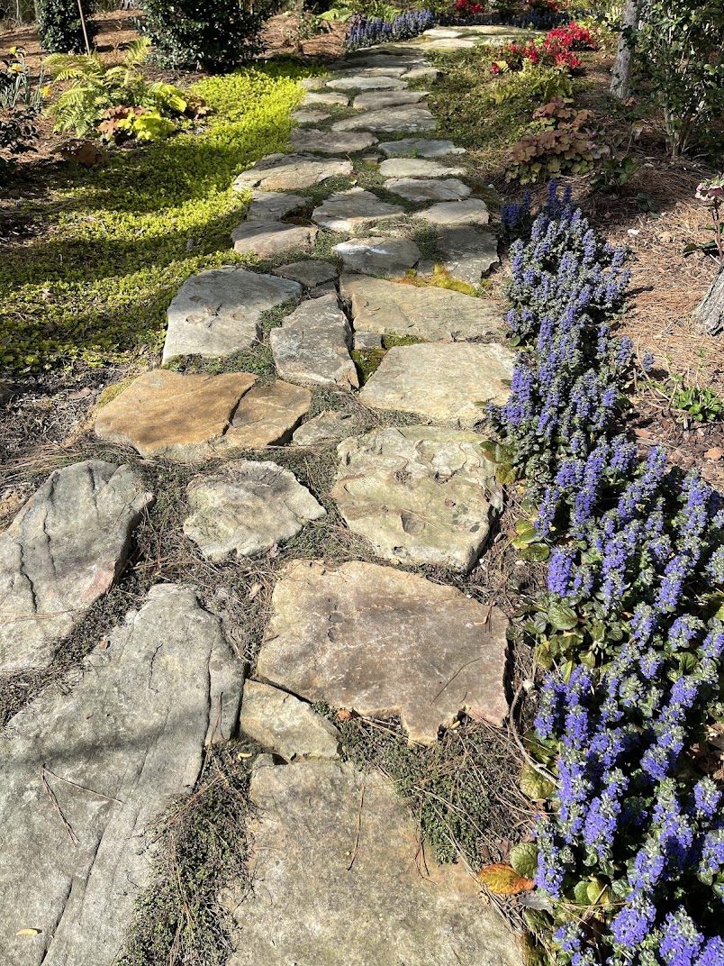 Flagstone path edged with blooming ajuga