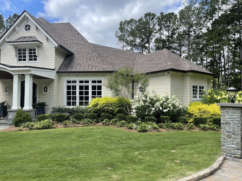 Front foundation beds with hydrangea, gold shrubs and boxwood